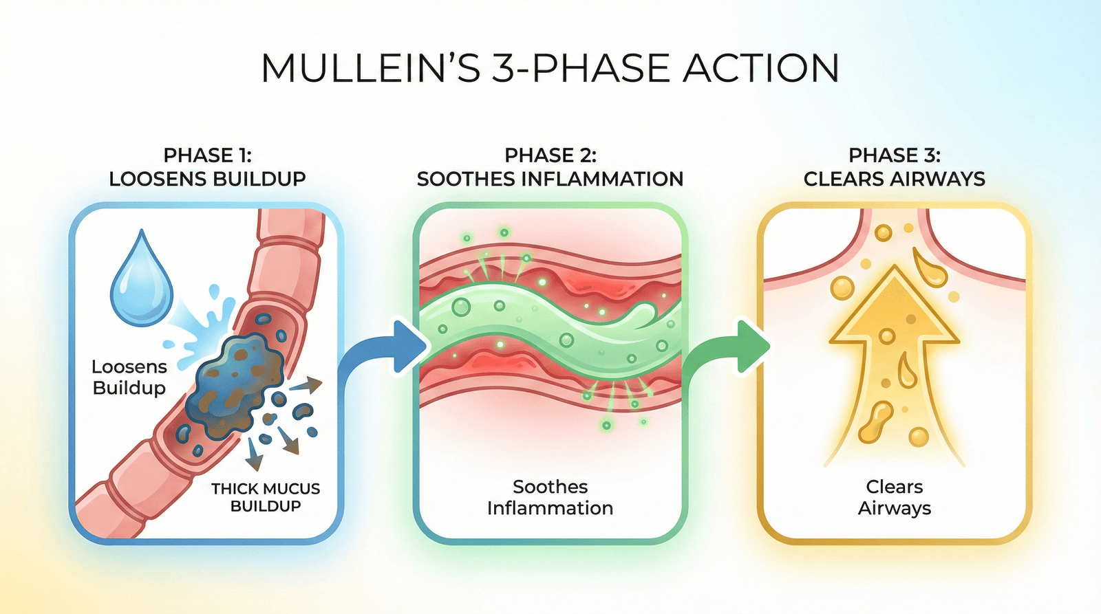 How Nurelle Helps Your