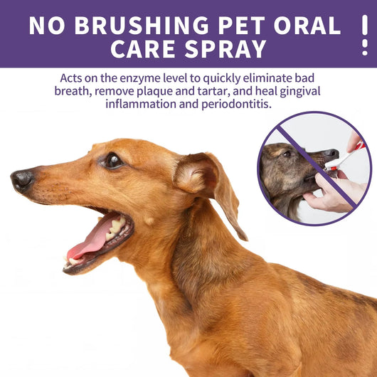 Nurelle Dental Pet Spray